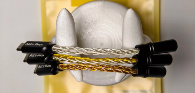 Accu Phon谷神星31993小尾巴测评